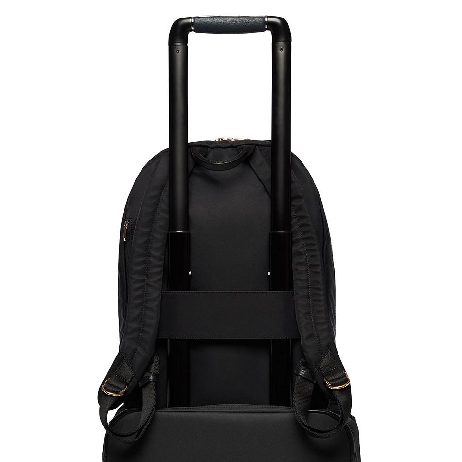 Black Knomo Beauchamp Backpacks | SUKNY62612